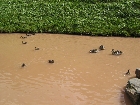 Galerie 1152_Etappe5.JPG anzeigen.