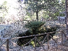 Galerie Sizilien_2004 088.jpg anzeigen.