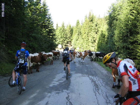 http://www.mtb-guide.de/pixlie/cache/vs_03_TAC_1115_Etappe4.JPG