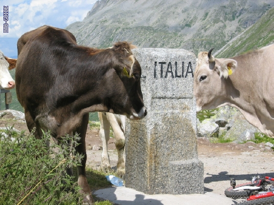 http://www.mtb-guide.de/pixlie/cache/vs_03_TAC_1143_Etappe4.JPG