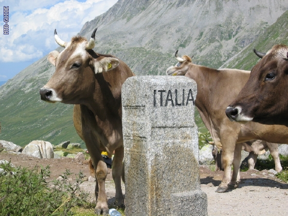 http://www.mtb-guide.de/pixlie/cache/vs_03_TAC_1144_Etappe4.JPG