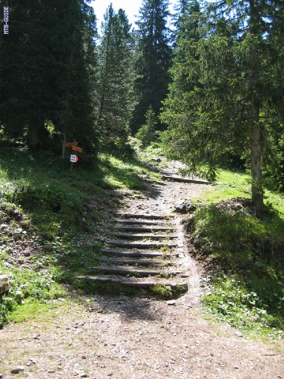 http://www.mtb-guide.de/pixlie/cache/vs_03_TAC_1155_Etappe5.JPG