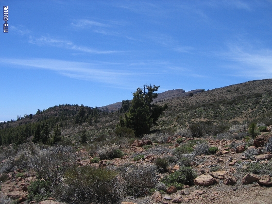 http://www.mtb-guide.de/pixlie/cache/vs_05_Teneriffa_060_IMG_0871.jpg