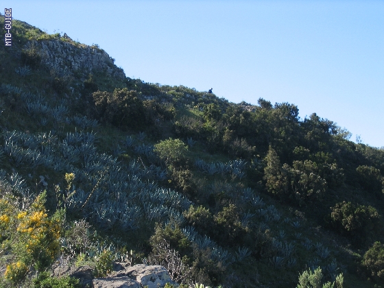 http://www.mtb-guide.de/pixlie/cache/vs_05_Teneriffa_074_IMG_0878.jpg