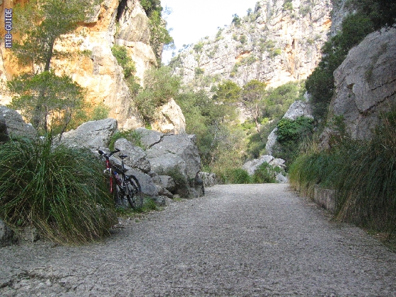 http://www.mtb-guide.de/pixlie/cache/vs_07_Mallorca_IMG_3600.JPG