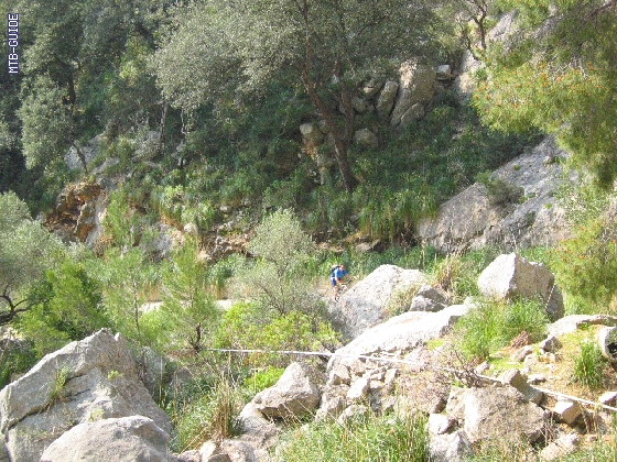 http://www.mtb-guide.de/pixlie/cache/vs_07_Mallorca_IMG_3602.JPG