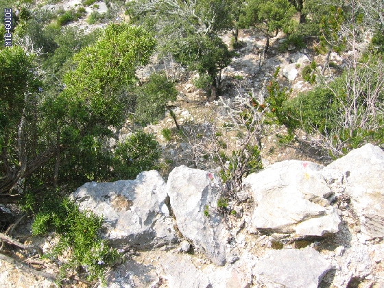 http://www.mtb-guide.de/pixlie/cache/vs_07_Mallorca_IMG_3607.JPG